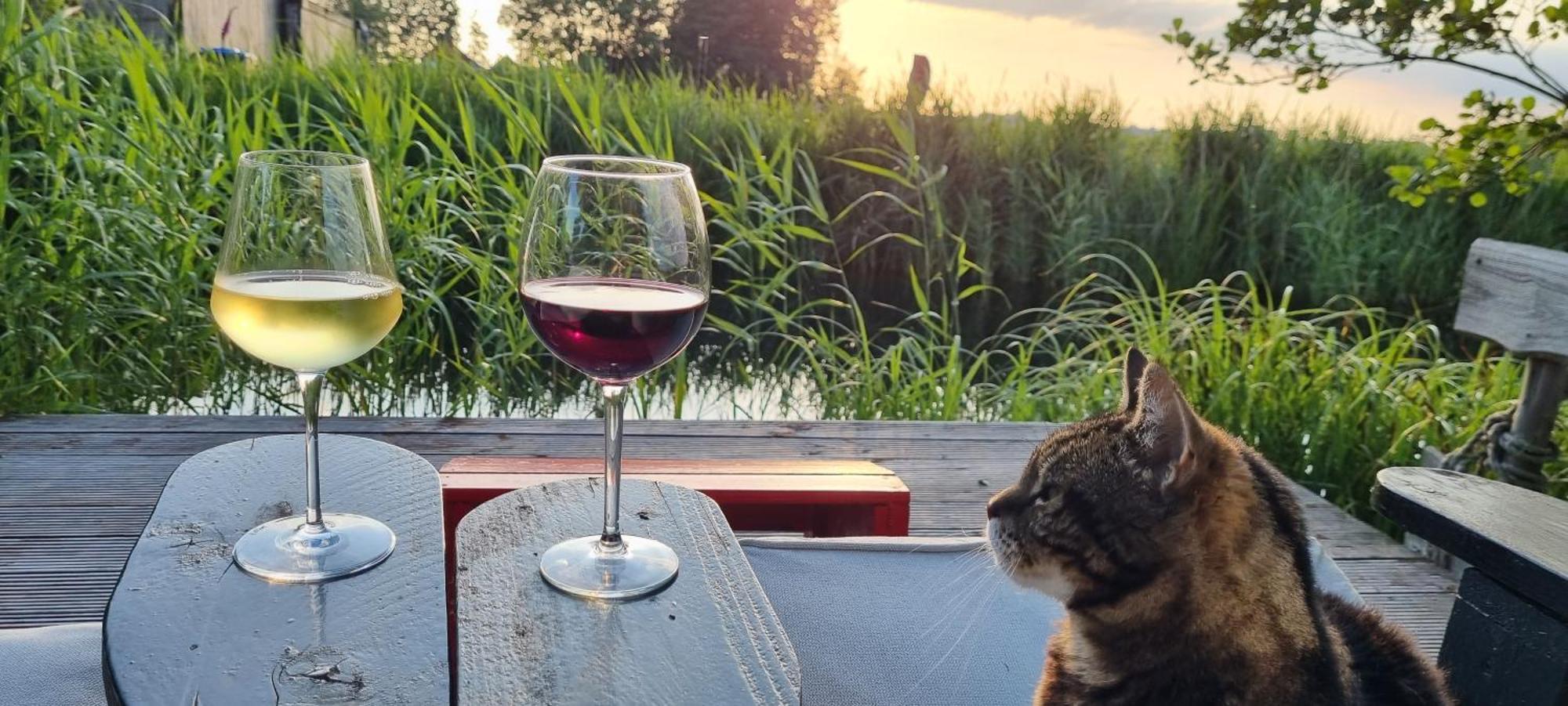 Slapen Bij Bonanza Villa Bantega Bagian luar foto